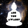 Awareness Buddha - Image 4